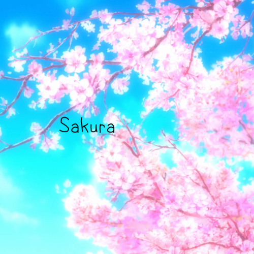 Sakura