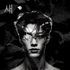 압구 (APGU) - (International Women Remix)