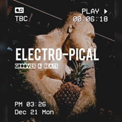 Electro - Pical Grooves & Beats # Dj Sandro Reis