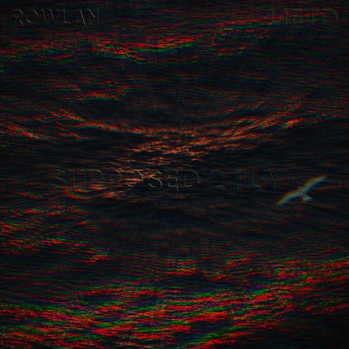 Supposed 2 Fly w LIFTD