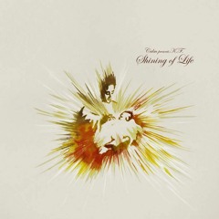 Calm Presents K.F. - 04 Shining Of Life Flutemental Version