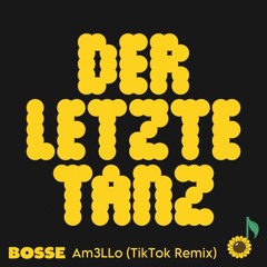 Der Letzte Tanz - Am3LLo (TikTok Remix)