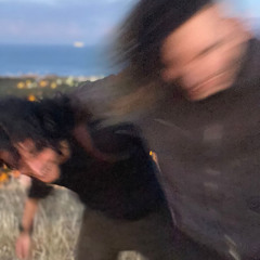 Canvas of Destruction