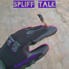 Spliff Talk.mp3