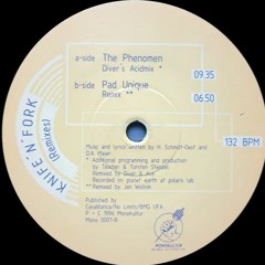 Knife N Fork - The Phenomen [Divers Acidmix] (1996)