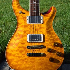 PRS 594 Brazilian Wood Library 23 0368343 10 Ch1