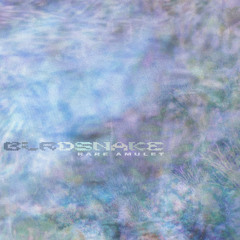 PREMIERE: Birdsnake - Rare Amulet [Bathtub Music]