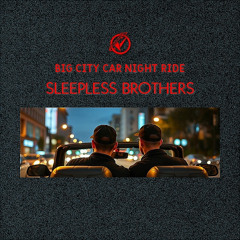 06 - SLEEPLES BROTHERS - Chasing Midnight Dreams