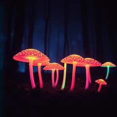 Dancing Mushrooms - 6
