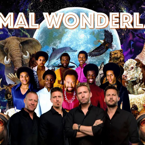 DJ Cummerbund Animal Wonderland Listen to music