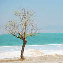 Dead Sea (free download for open collab!)