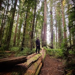 Jay Sean Ft. Lil Wayne - Down (Cover)