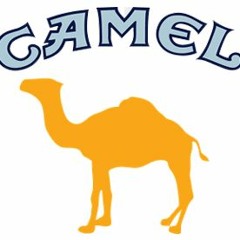 🐪camel🐪 (ft. sin)