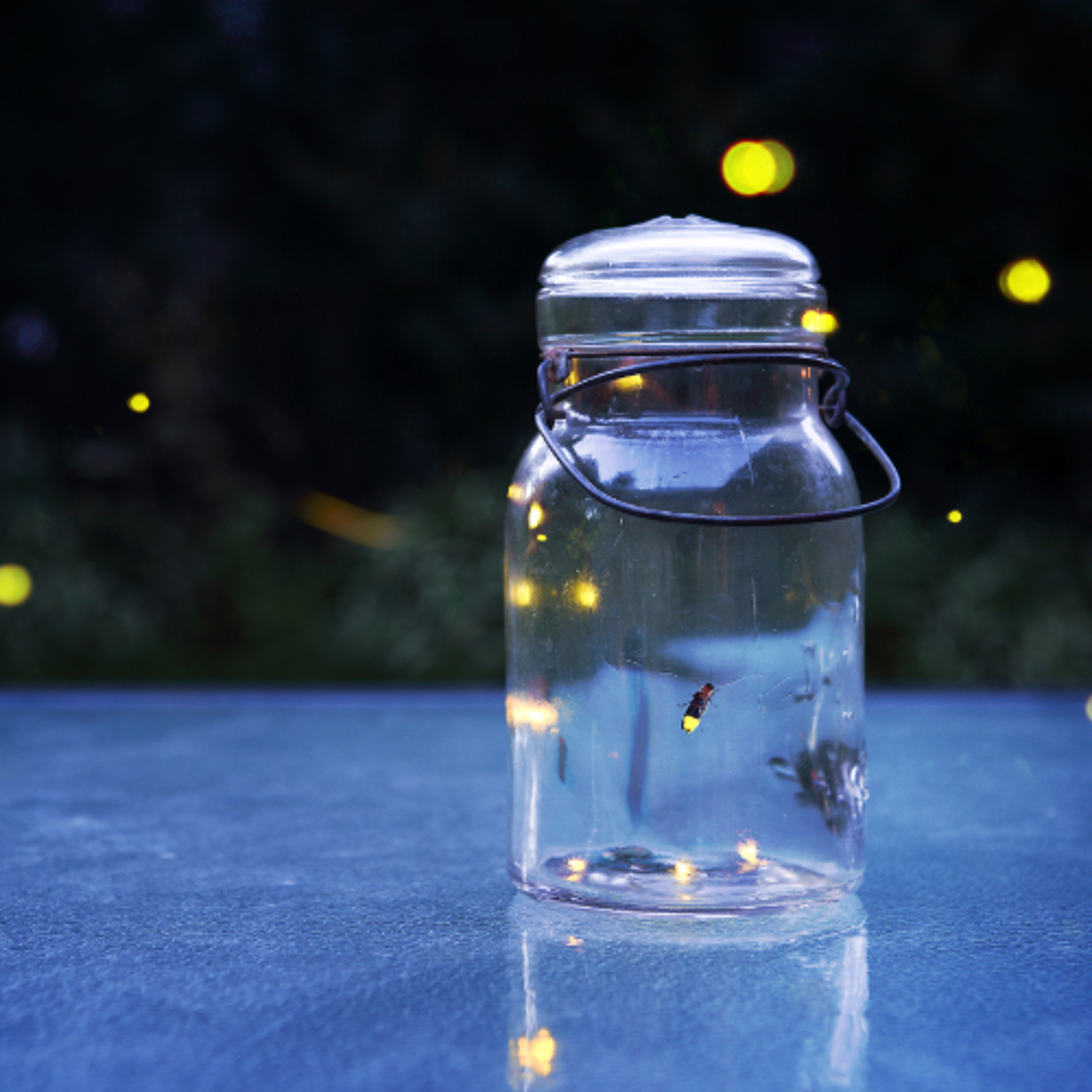 Best of Awake in the World: Ahimsa (Non-harming)