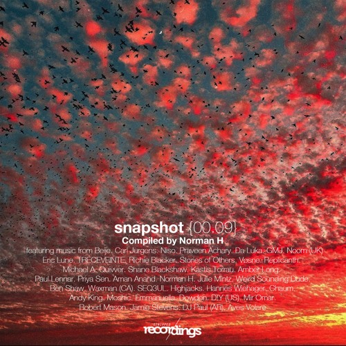 VA - snapshot {00.09} Compiled by Norman H - Stripped Recordings