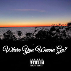 WHERE YOU WANNA GO? ft. TNADY
