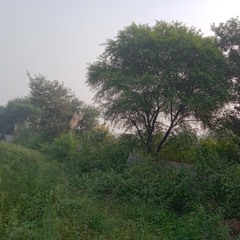 Rote hue aate hain sab