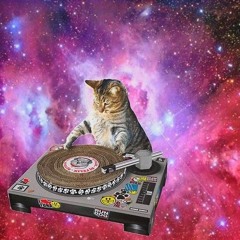 ｃａｔｓ  'ｎ' ｂｅｎｚ