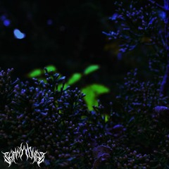 don't like you (prod. fkwt)