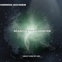 Nordic Echoes - Reflective Polar