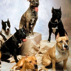 Joshua Lorenzo - Real Niggas (Best Friends Remix) - Demo