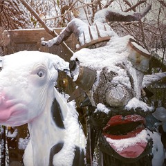 the goats of asymptote