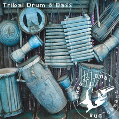 Tribal Drum & Bass Mix