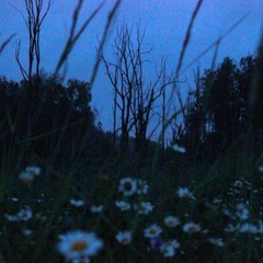 twist cone - horse jumper of love  SLOWED + REVERB