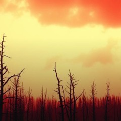Seven Years’ Fire