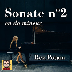 Sonate n°2 pour piano en do mineur