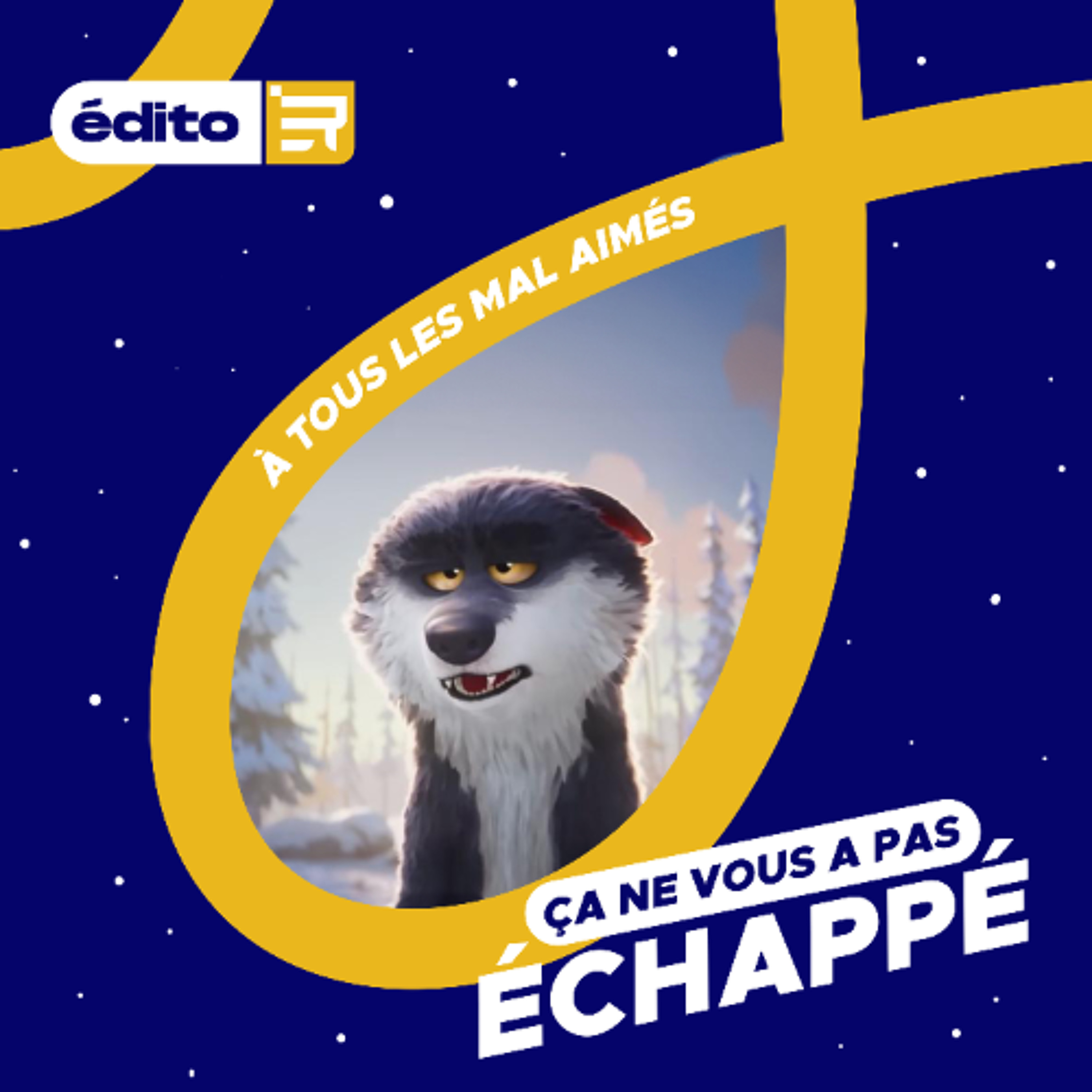 À tous les mal aimés - Ça ne vous a pas échappé, l'édito du 15/12 episode artwork