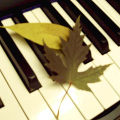 Cosima Wenzel — Dreaming Willow for piano