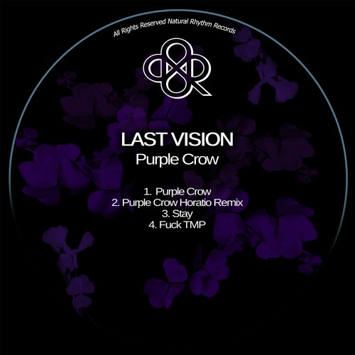 04. Last Vision - Purple Crow (Original Mix)
