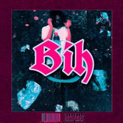 Bih (Prod. error.crítico)