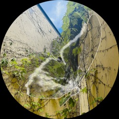 Feliz Con Nada (Bloom EP)