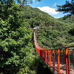 Review Special Price DMZ Tour from Seoul (Majang Lake Red Suspension Bridge Gondola)