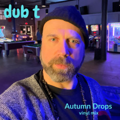 Autumn Drops Vinyl Mix