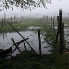 Lluviosa