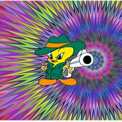 Namascoyote -  Hippieleptic (Sundari Rmx 180 Kmh) 423Hz