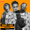 Famous Dex Ft. Rich The Kid & Tyga - What I Like (9AM Remix)