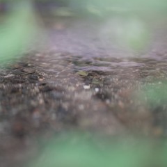 一人でいたい-Raiwo（natsume_ShortRemix)