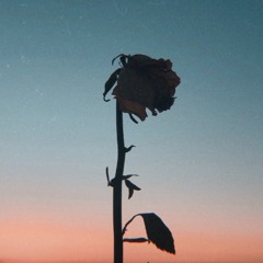 Gone