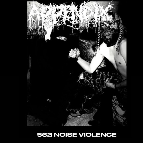 CROWD KILLING ASSASSIN