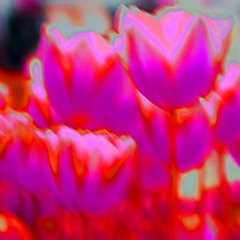 using u (mars argo cover)