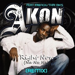 Akon - Right Now (Na Na Na) (Xeen Reflip) [Free Download]