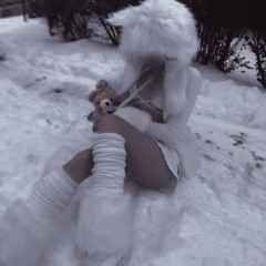 Snowfall Serenade