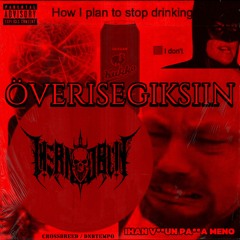 ÖVERISEGIKSIIN