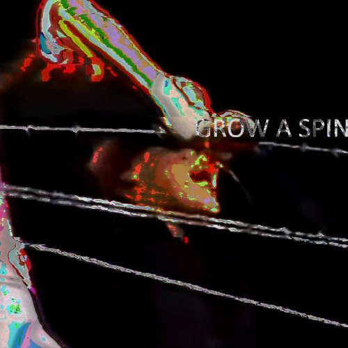 GROW A SPINE