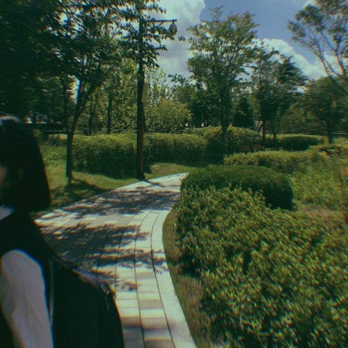 기록 1 mixset