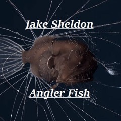Angler Fish